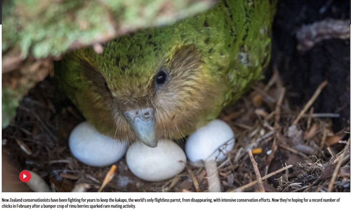 Your Weekly Dose of Climate Hope: March 15, 2026