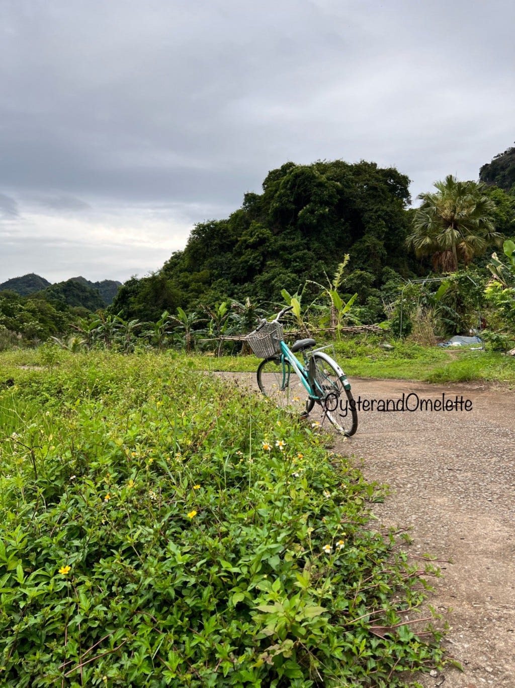 Cycling in Viet Hai Village