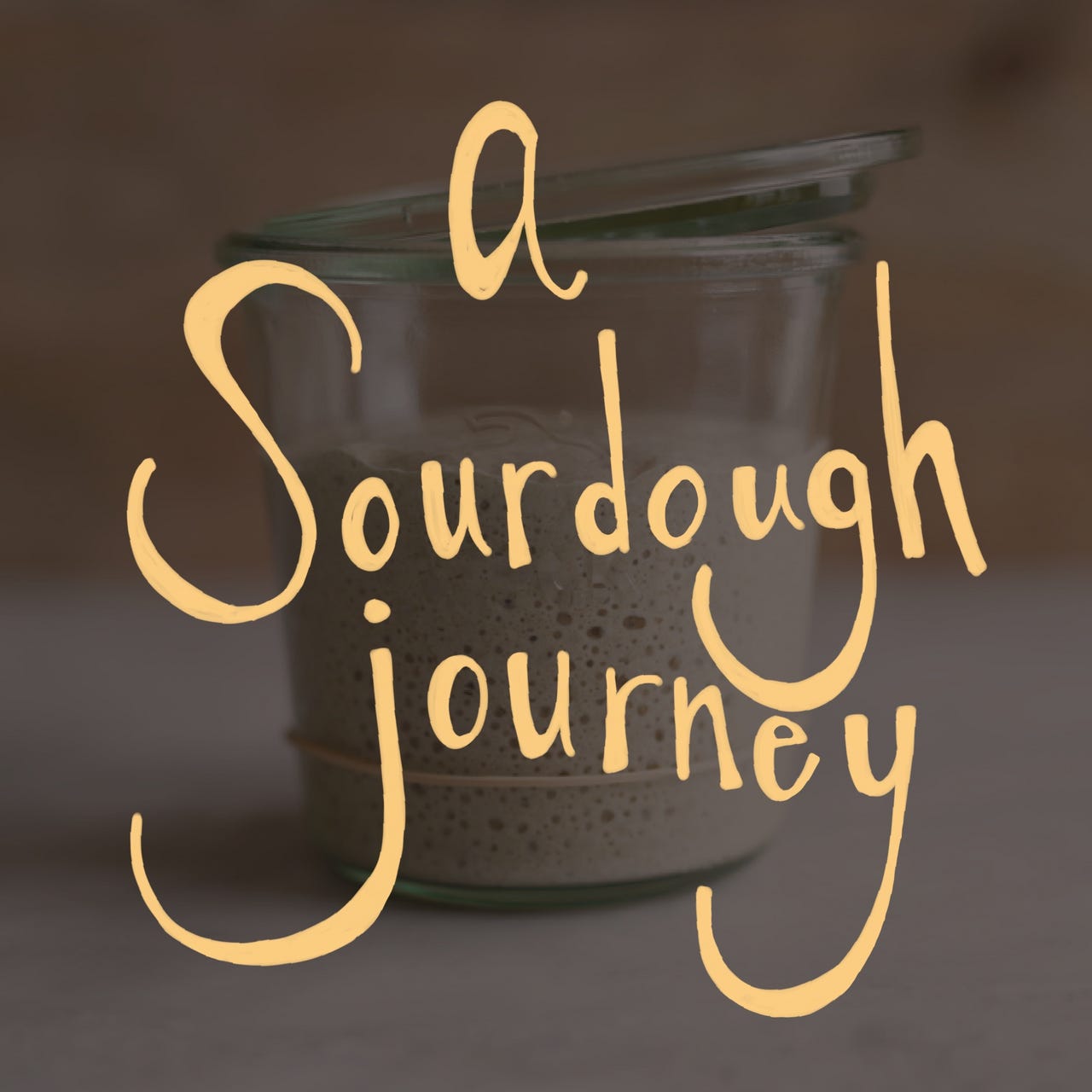 A Sourdough Journey by Alisa