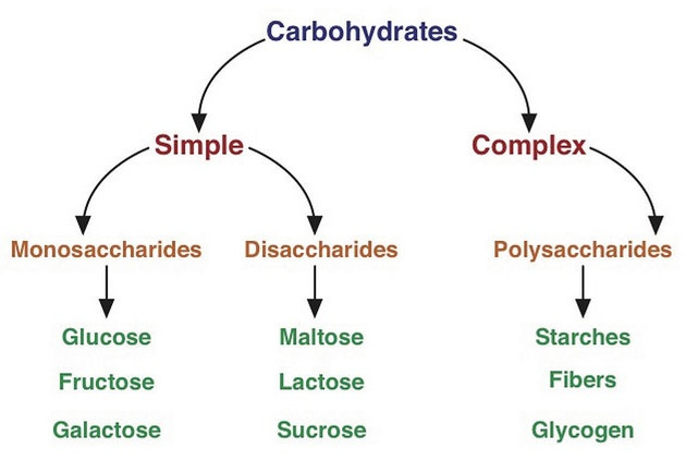 4.2: A Closer Look At Carbohydrates | LibreTexts Nutrition 4.2: A Closer Look At Carbohydrates | LibreTexts Nutrition