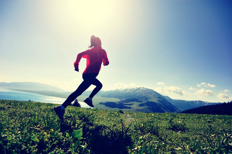 So, you want to run a marathon?