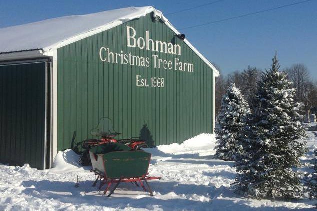Indiana Christmas Tree Farms