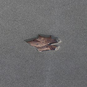 Psalm 12 - Dreaming of Something Different