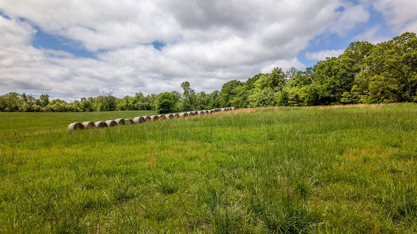 BEAUTIFUL FARM FOR SALE IN THE OZARKS - UC Hunting Properties