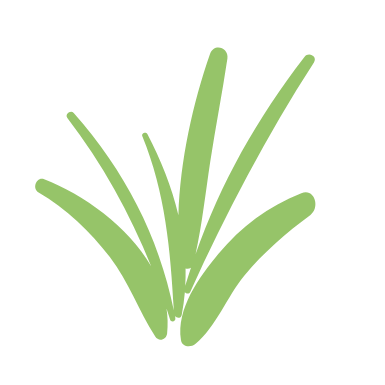 Artwork for touch grass