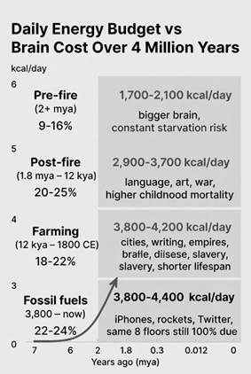 A chart tracking energy budget vs brain cost over 4 million years, highlighting evolutionary milestones.