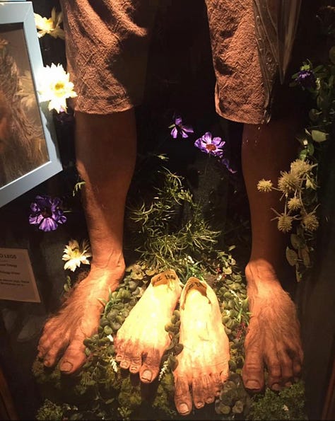 Wellington-weta cave- movies-Museum-special effects- lord of the rings-hobbit feet-gollum-tintin
