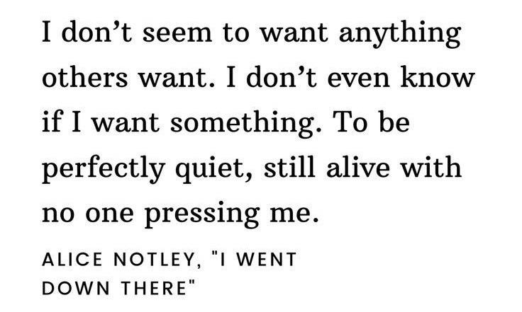 A black-and-white image of Alice Notley’s words about wanting quiet; a doorway into the hidden interior life of mothers.