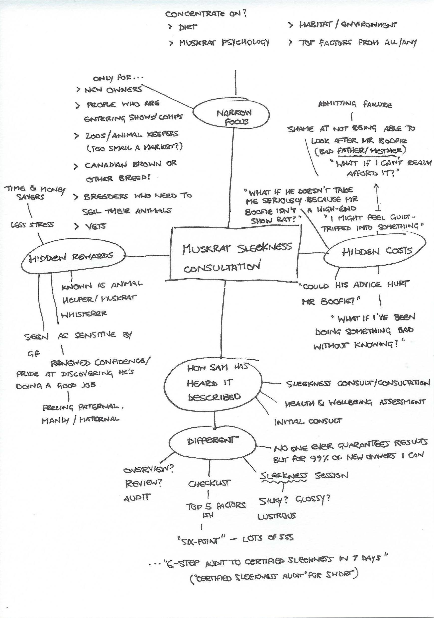 A brainstorm example involving a niche muskrat market A brainstorm example involving a niche muskrat market