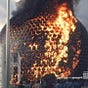 forensic dystopianism's avatar