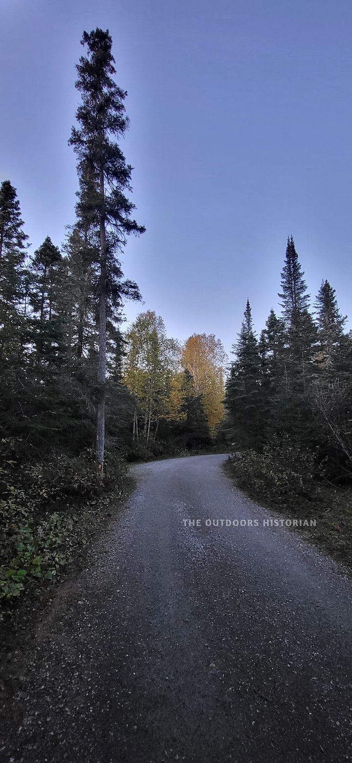 A gravel road winds through the Hattie Cove campground at Pukaskwa National Park. The road is flanked by a dense, imposing wall of towering spruce trees silhouetted against the deep blue light of dusk.