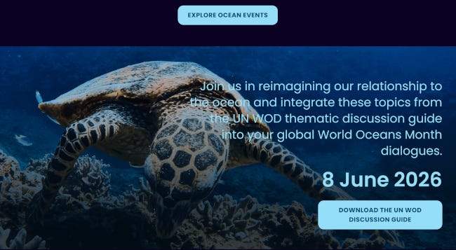 Une tortue de mer sur la page d'accueil du site de la Journée Mondiale des OCéans