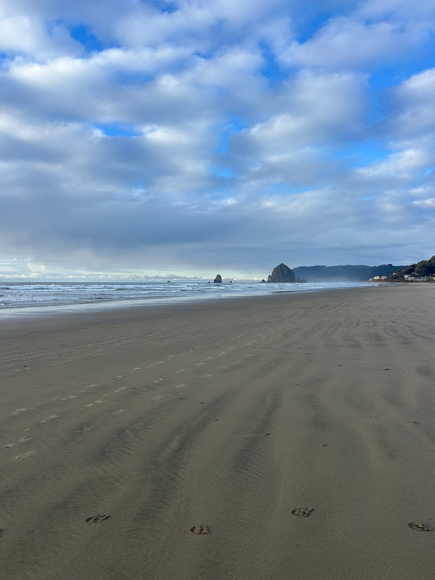 a photo of a beach landscape with a big rock in the background