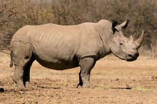 Ugurs grenzdebile Schwachsinnsideen im Protein Design