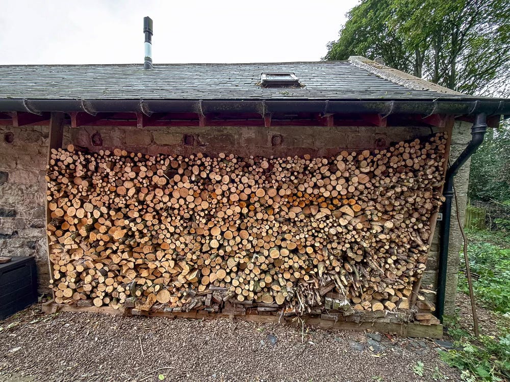 Lots of firewood piled up against a wall Lots of firewood piled up against a wall