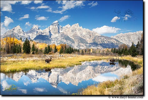 Reflection Images by Daryl L. Huntet