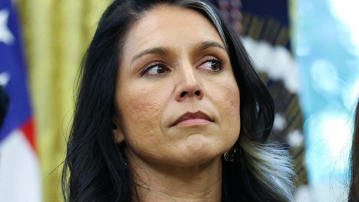 BREAKING: Tulsi Gabbard, Trump Warmonger and Aspiring Election-Rigger, Resigns