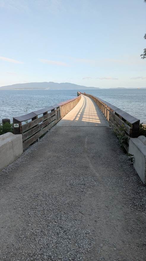 A bridge over water with a fence

AI-generated content may be incorrect.