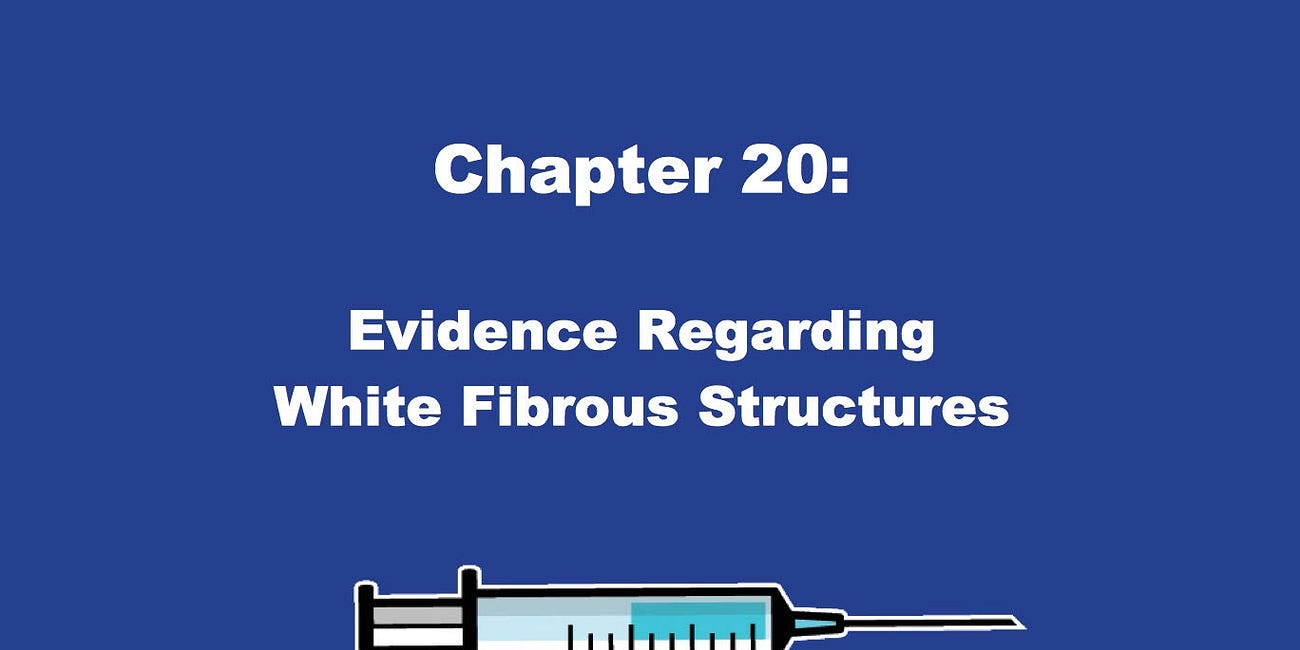 Evidence Regarding White Fibrous Structures