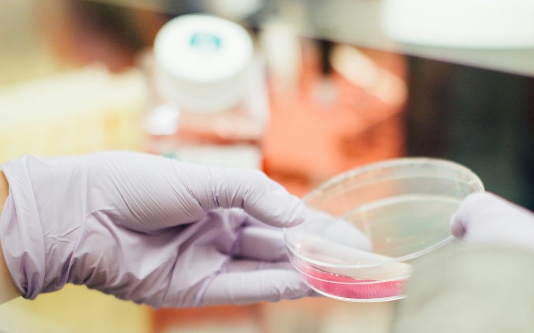 person holding round clear container