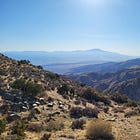 The Best Part of Joshua Tree Was What We Never Planned to See