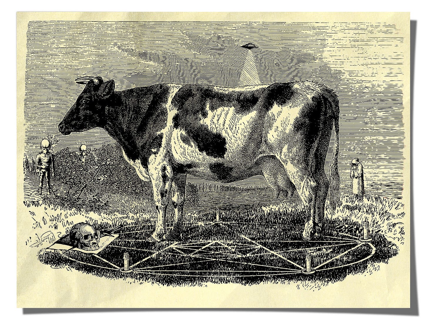 The Enduring Panic About Cow Mutilations | The New Yorker