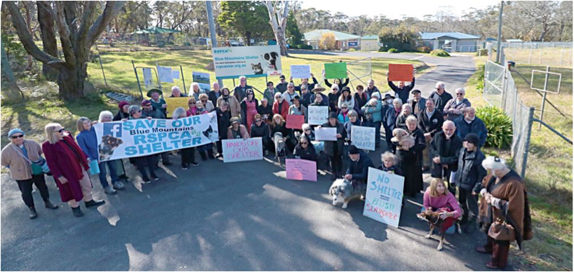 volunteering in katoomba