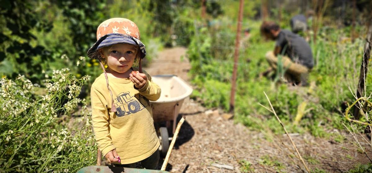 blackheath community farm