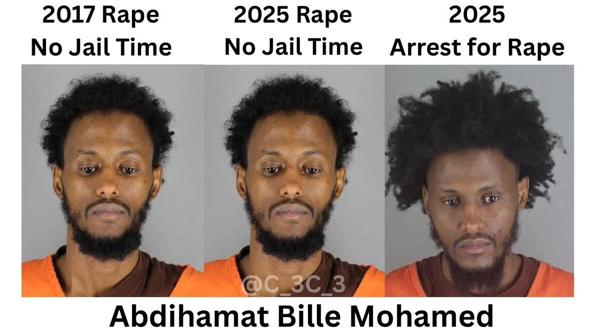 RT @C_3C_3: Meet Abdihamat Bille Mohamed. 2017 he raped a 15 year old girl  and sentenced to 36 months. He served 0. 2024 he raped a woma…