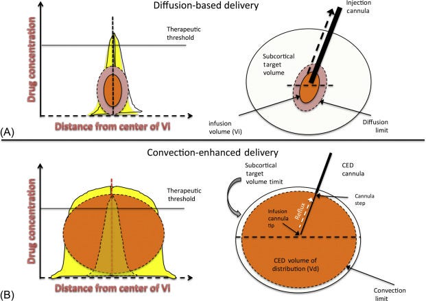 Convection-Enhanced Drug Delivery in the Central Nervous System -  ScienceDirect
