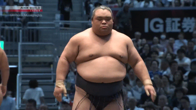 Sumo Stomp! | Tim Edwards | Substack