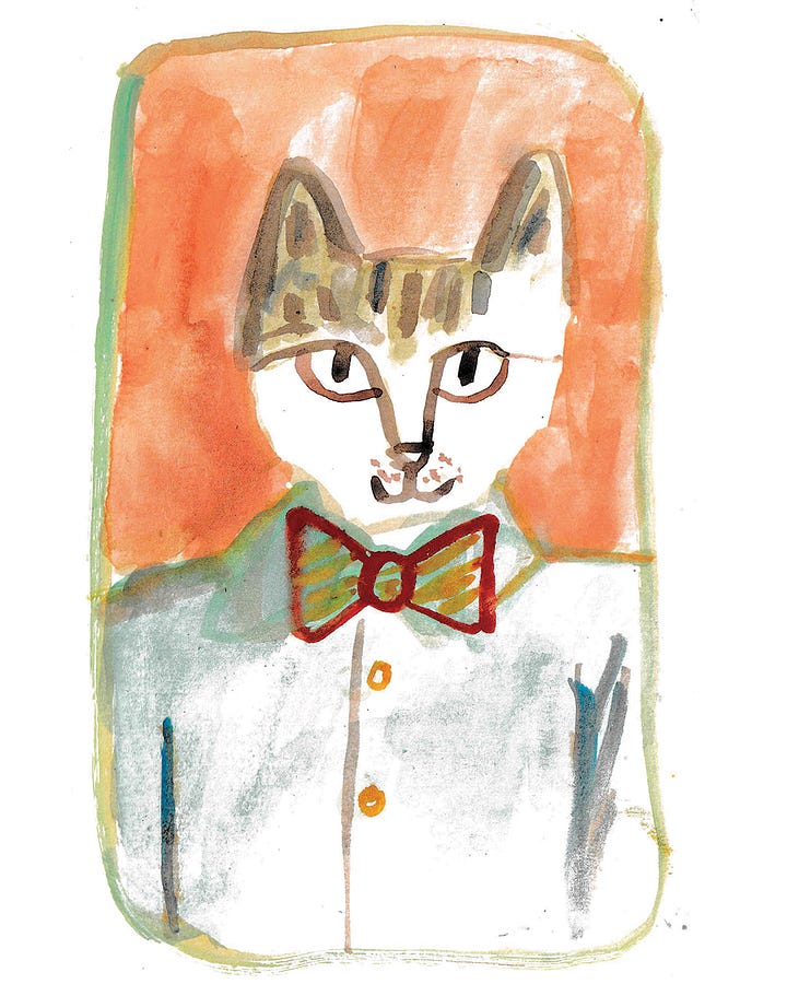 animal school photos illustrated by Beth Spencer
