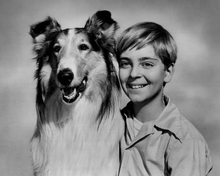 Picture of Lassie and boy