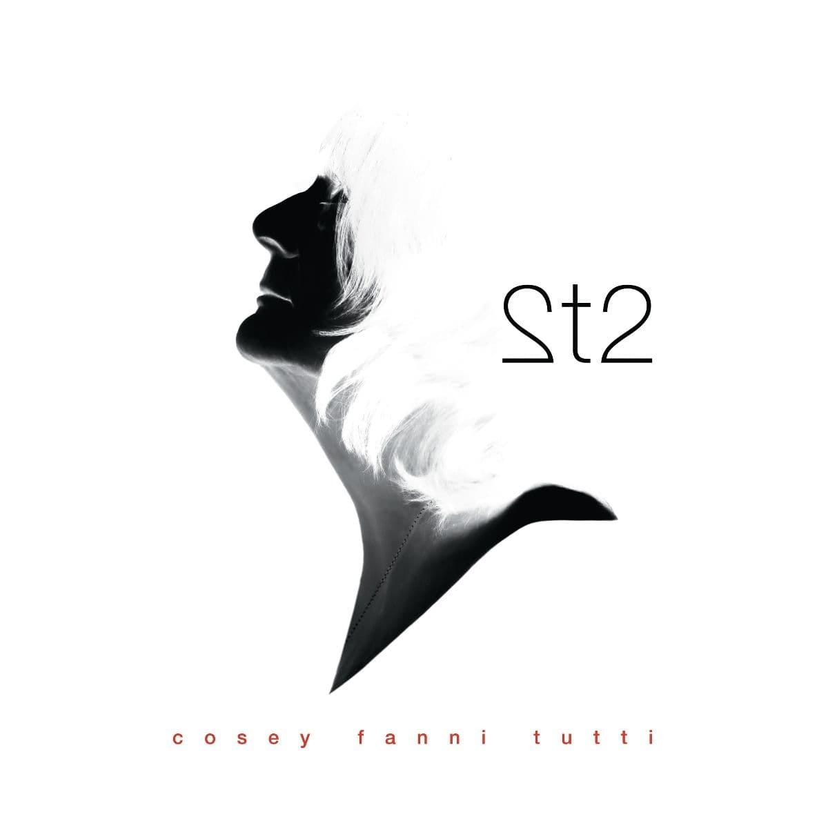 Album artwork for 2t2 by Cosey Fanni Tutti