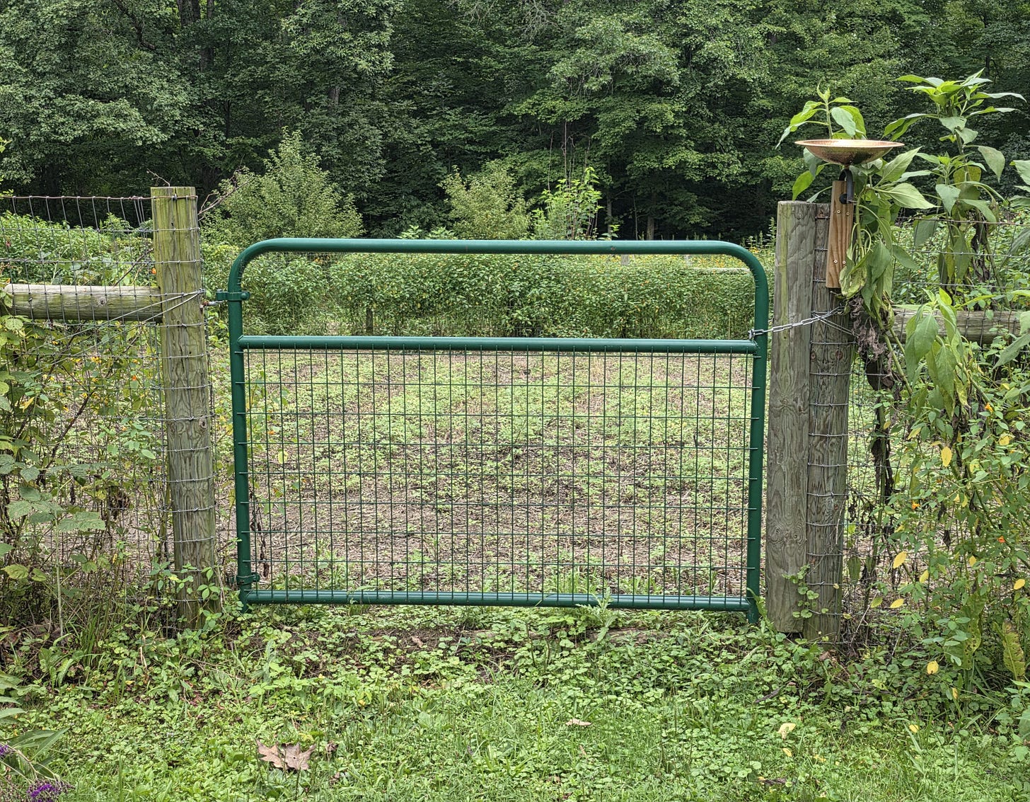 Garden Gate