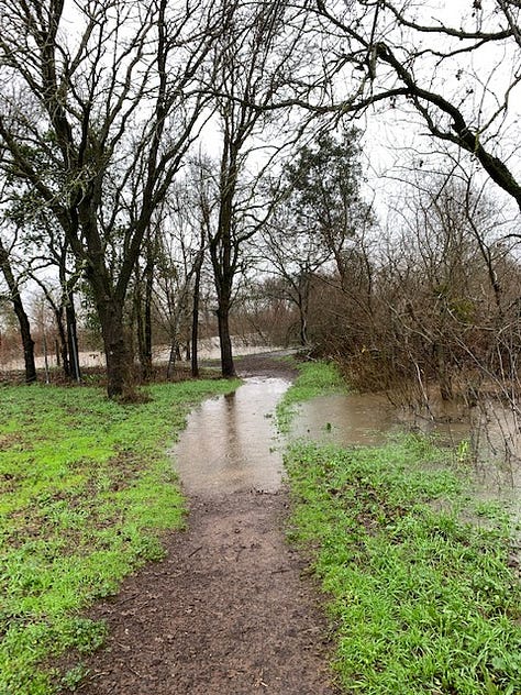 Laguna de Santa Rosa near Sunset Ave