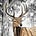 Deerpaper2026's avatar