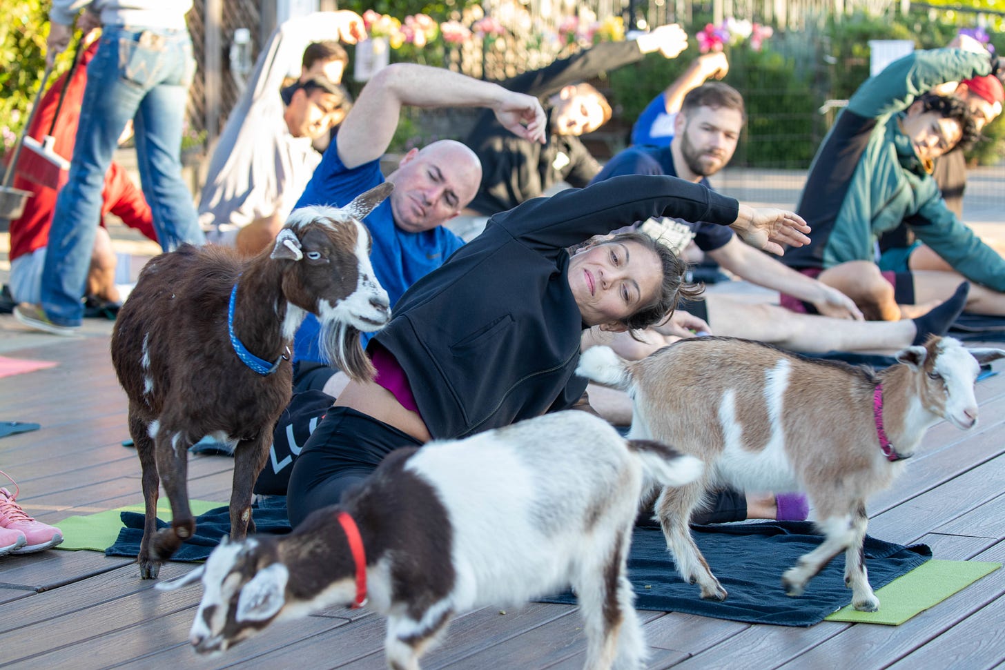 Photo by Chris Gates Photo by Chris Gates