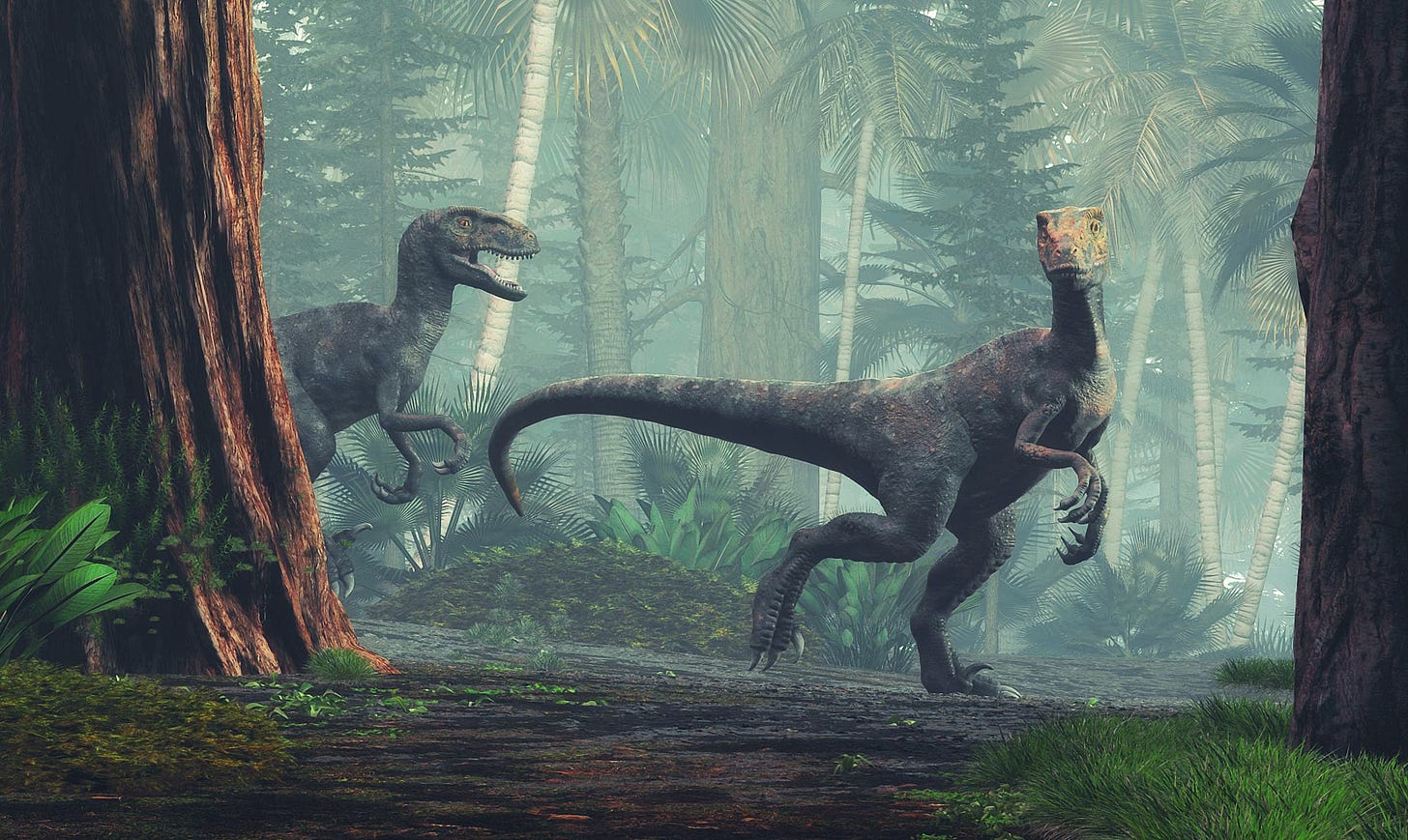 A pair of raptors in the woods