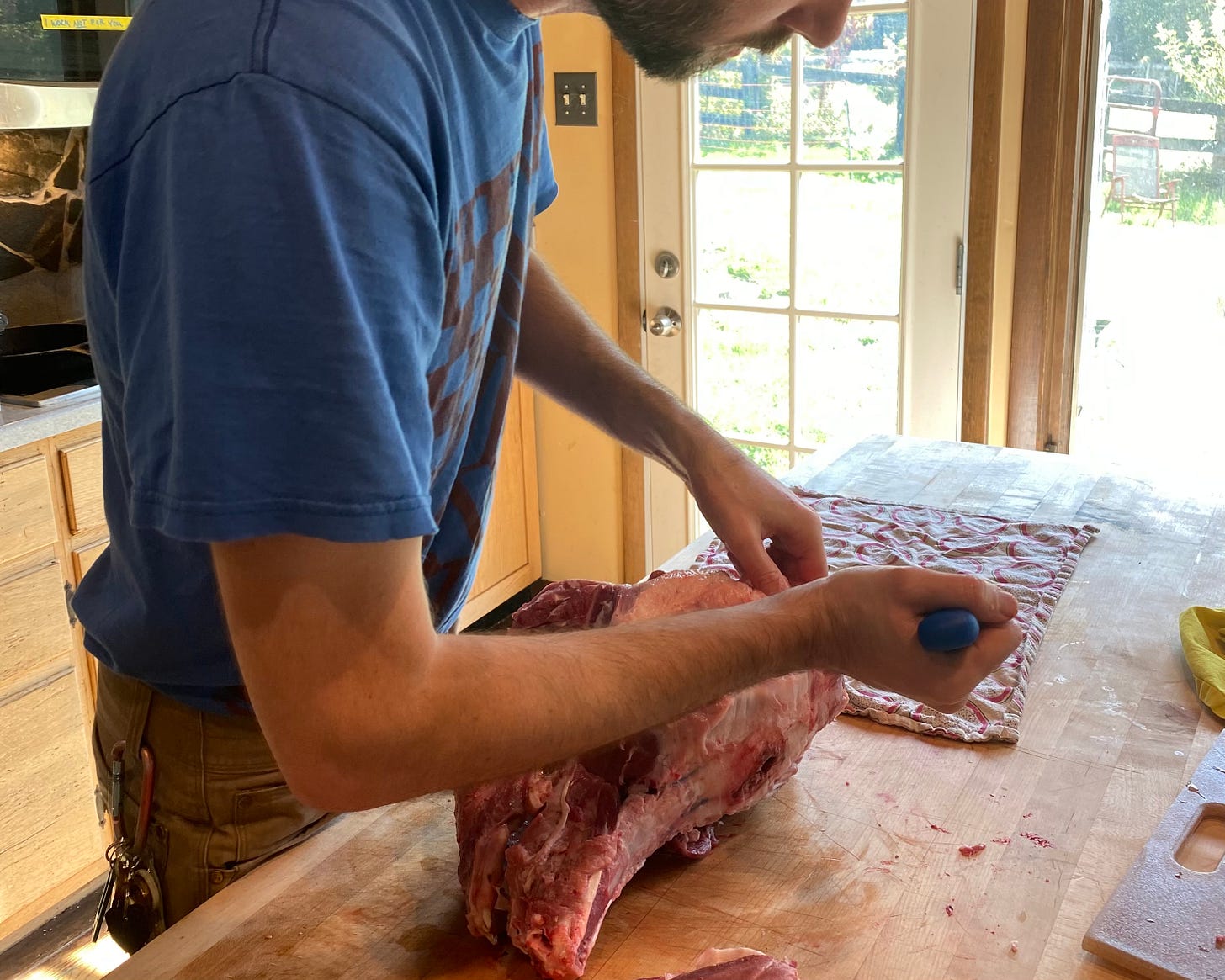 Cutting away the flesh