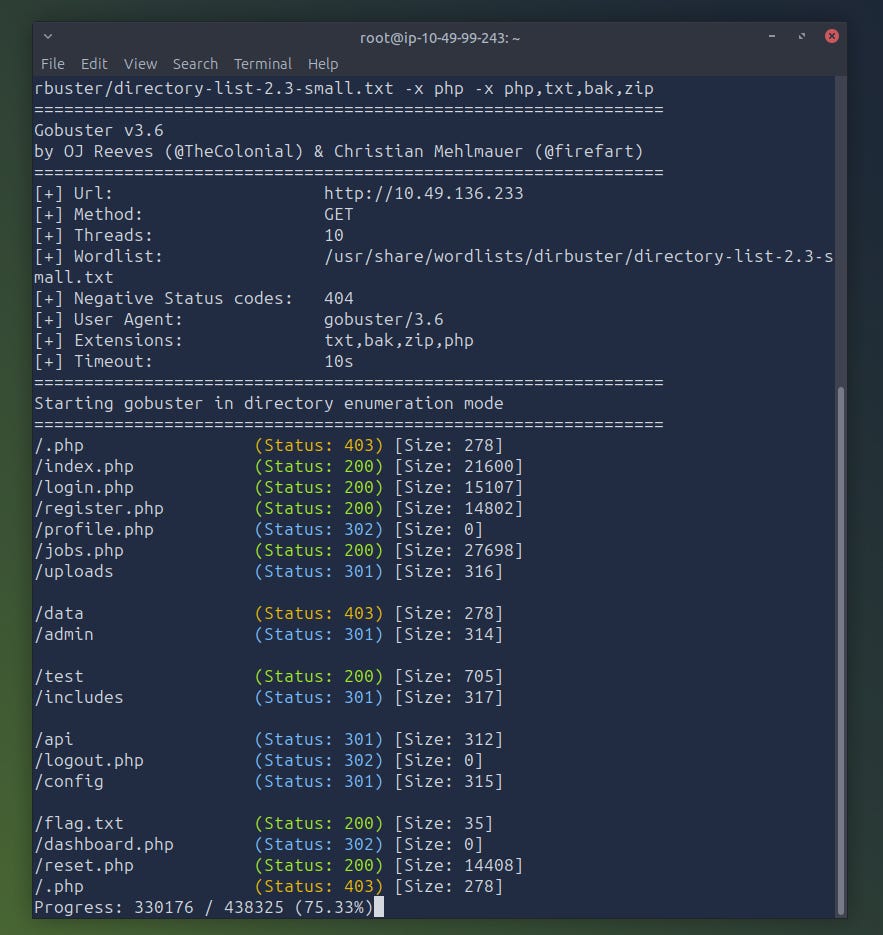 Gobuster scan results identifying interesting endpoints
