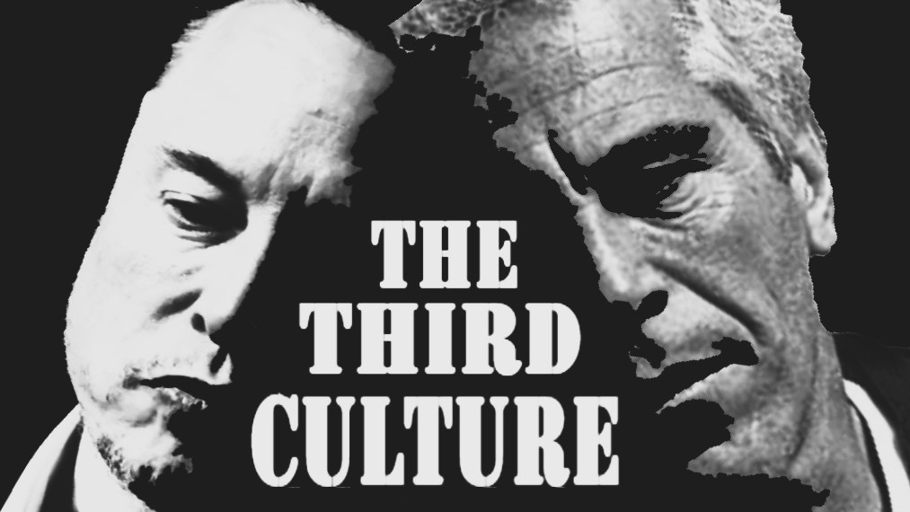 Musk & Epstein: The Third Culture Dossier 