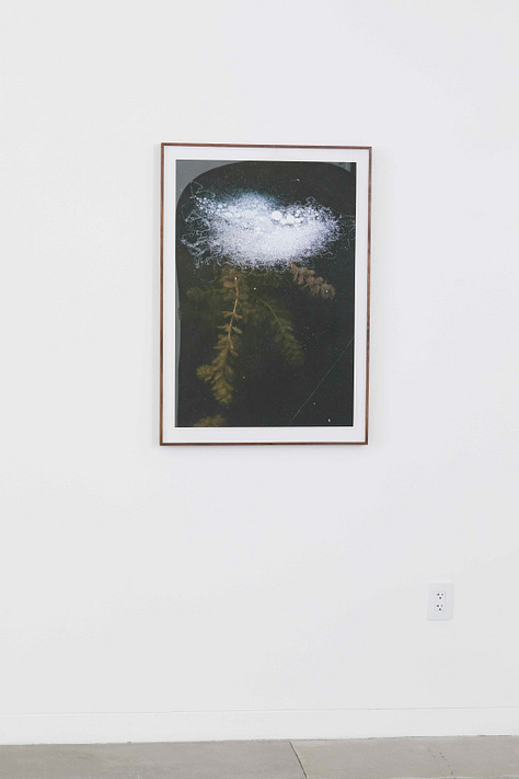 A photograph of each individual artwork described