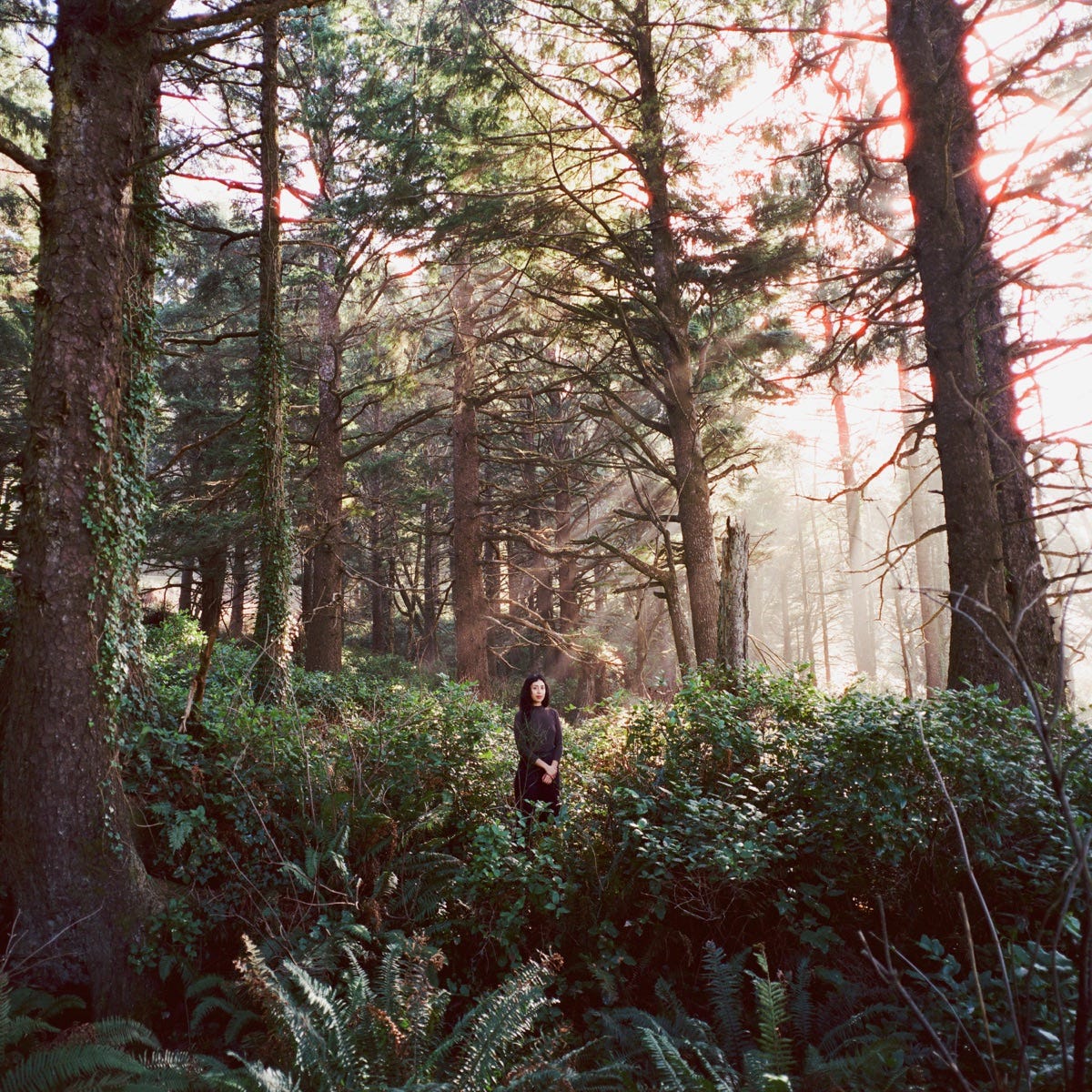 Seed of a Seed - Single - Album by Haley Heynderickx - Apple Music