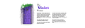 The Violet Writer's Substack