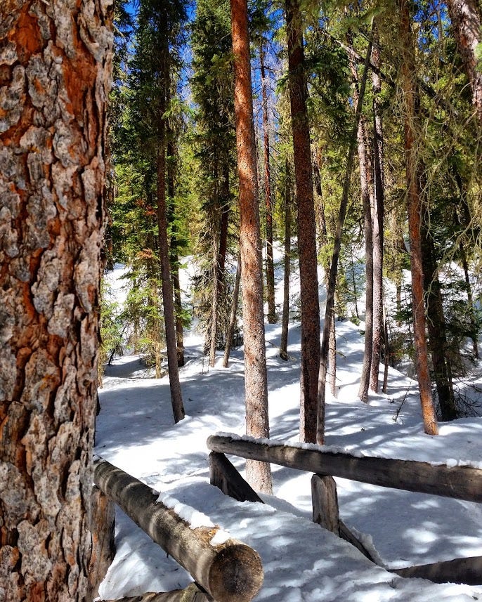 Living well with pain, getting back on the trail Living well with pain, getting back on the trail