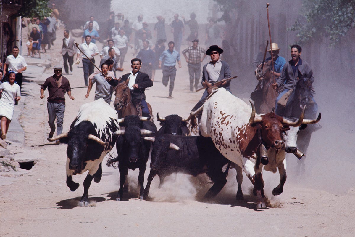 Corfu. 1966. © Elliott Erwitt / Magnum Photos Corfu. 1966. © Elliott Erwitt / Magnum Photos