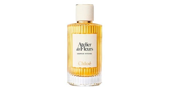 Chloé Cedrus Intense - by Victoria Belim