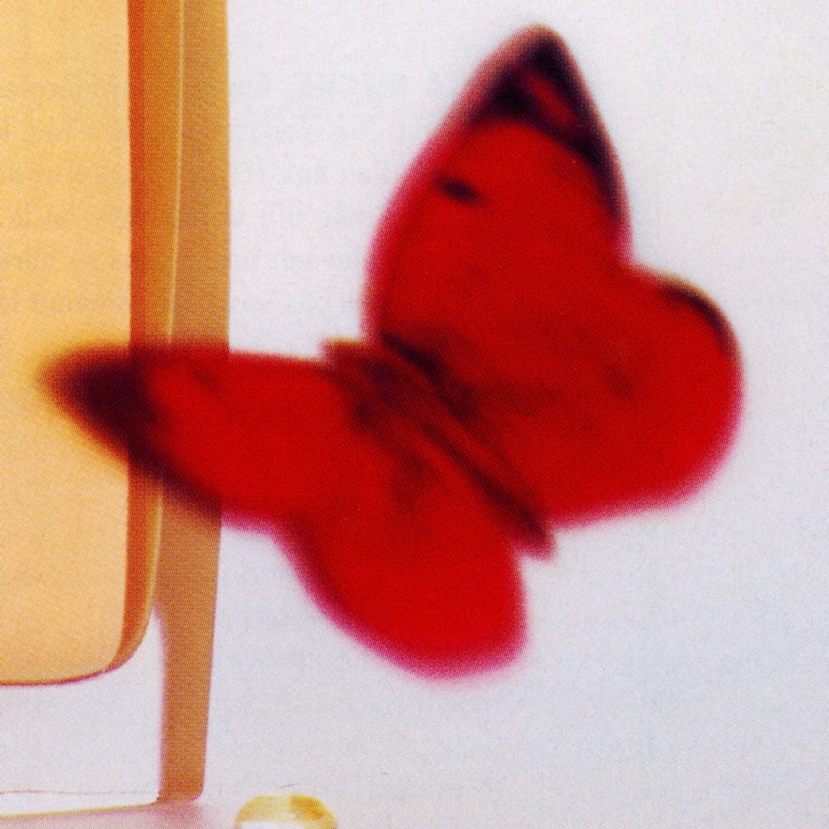 Dispatches from Chrysalis