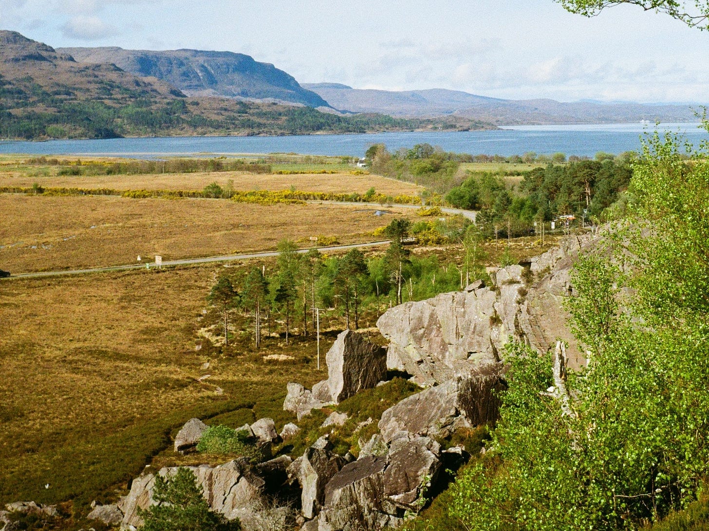 Torridon boulders